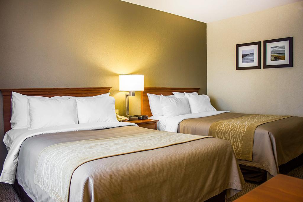 Comfort Inn Guilford Near I-95 Dış mekan fotoğraf